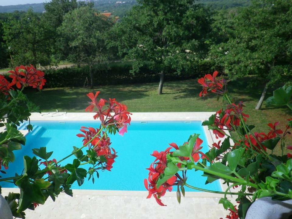 Pansion Oliva Hotel Krnica Buitenkant foto